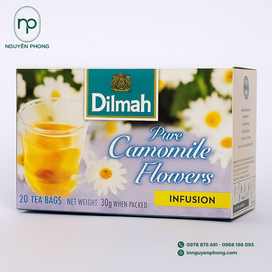 In hộp giấy đựng trà hoa cúc đẹp